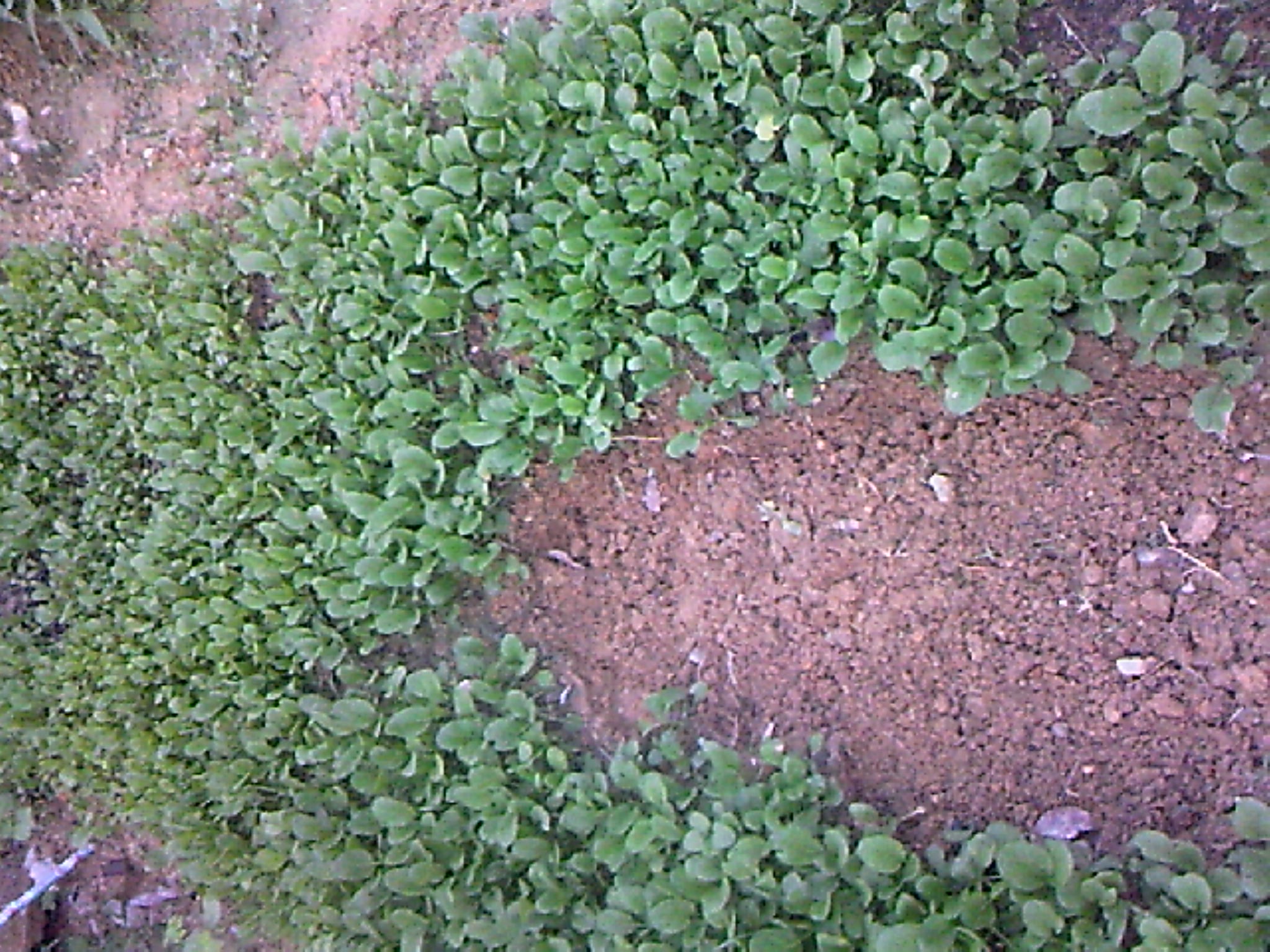 120515A005.jpg