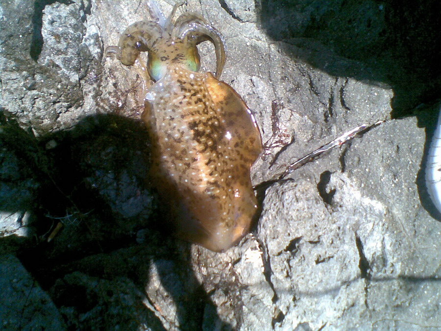 20120514(002).jpg
