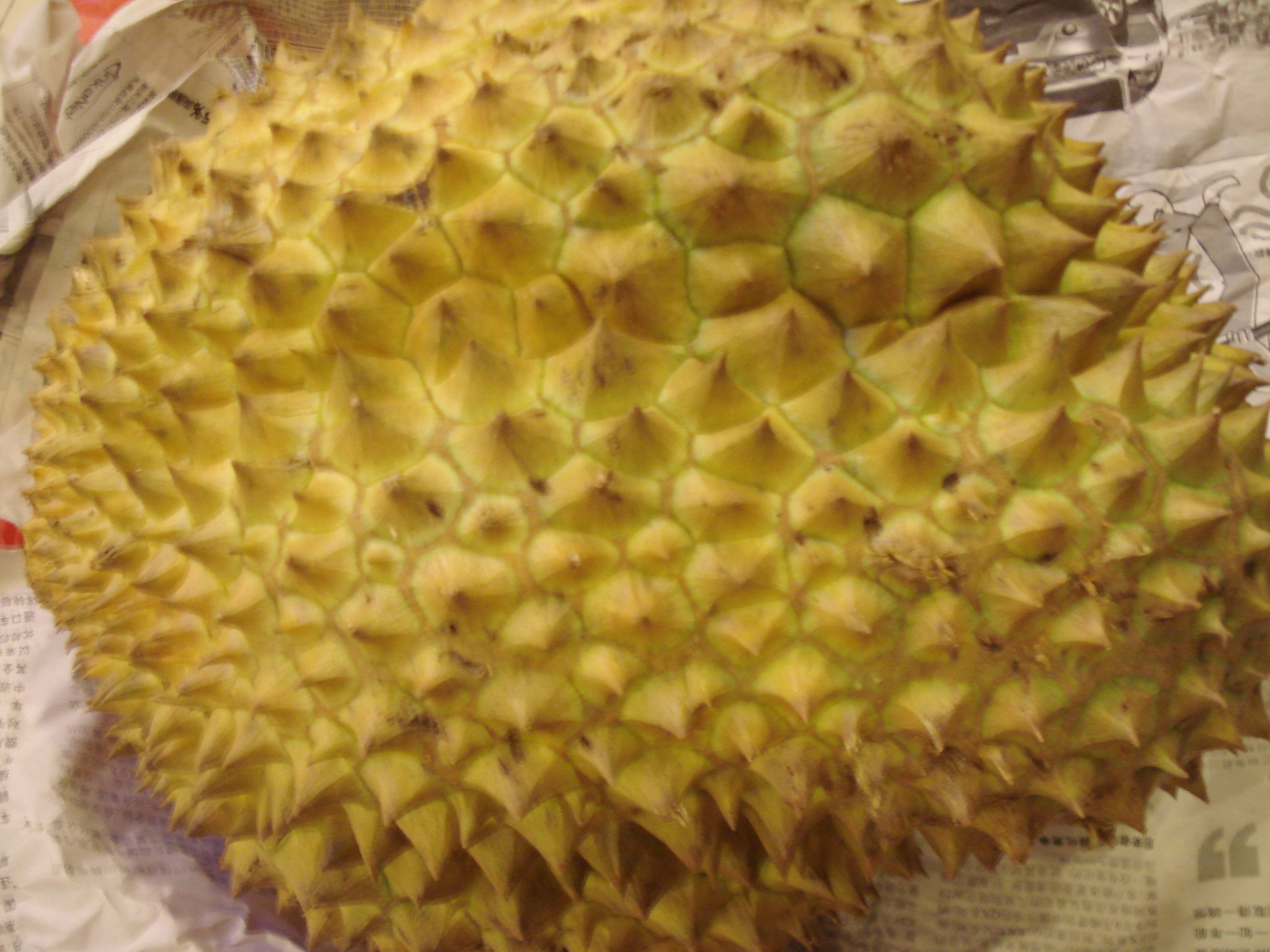DSC07142.JPG