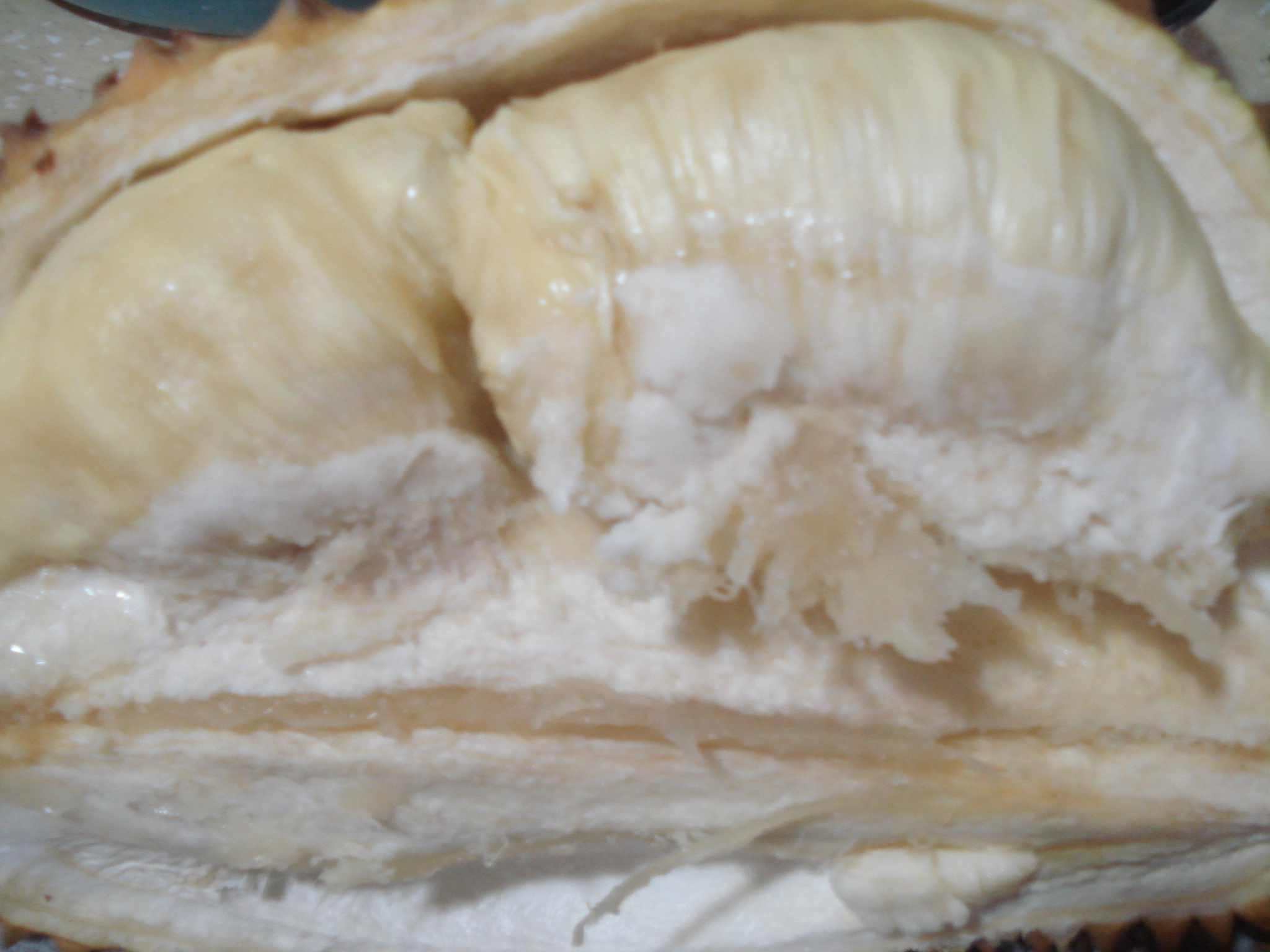 DSC07144.JPG