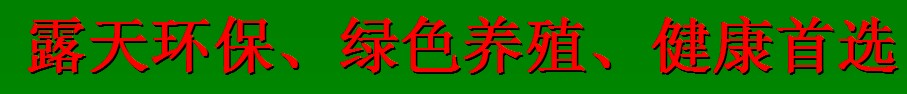 IZYPW3IUZ%PSEAIG`~[51B6.jpg