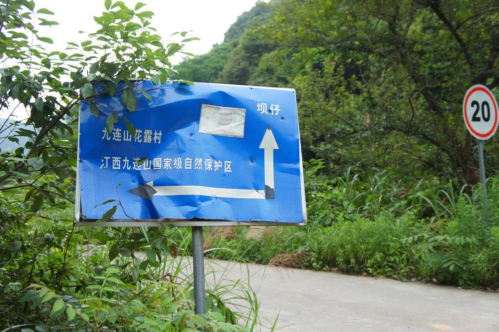 nEO_IMG_DSC01339.jpg