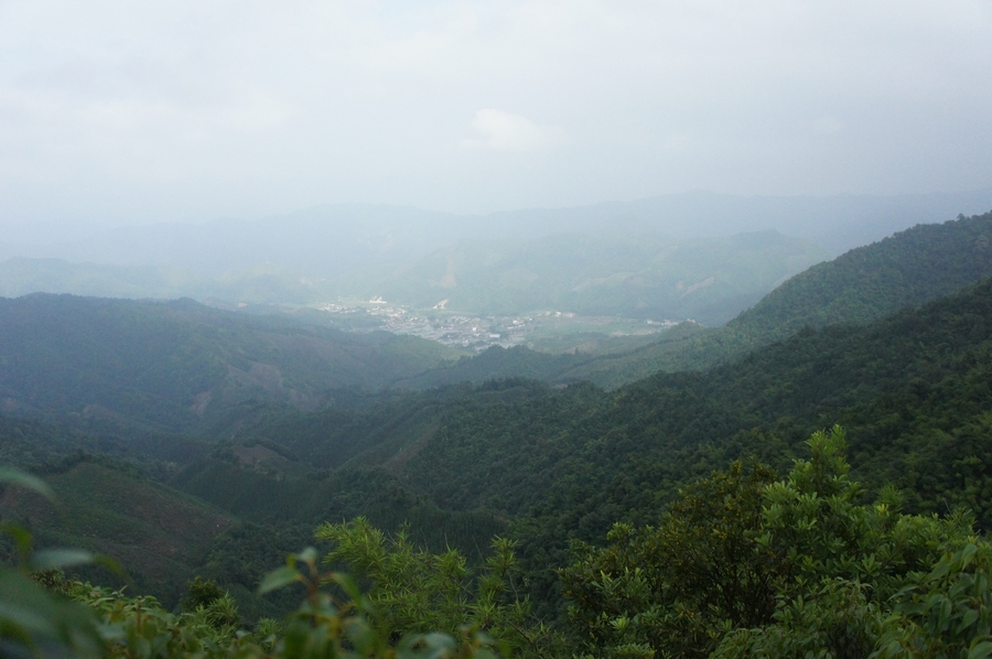 nEO_IMG_DSC01737.jpg