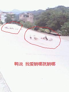 IMG0255A.jpg