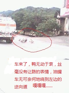 IMG0252A.jpg