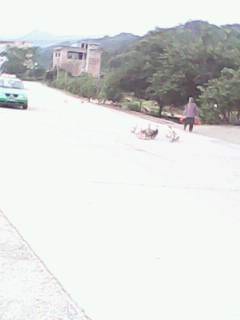IMG0254A.jpg