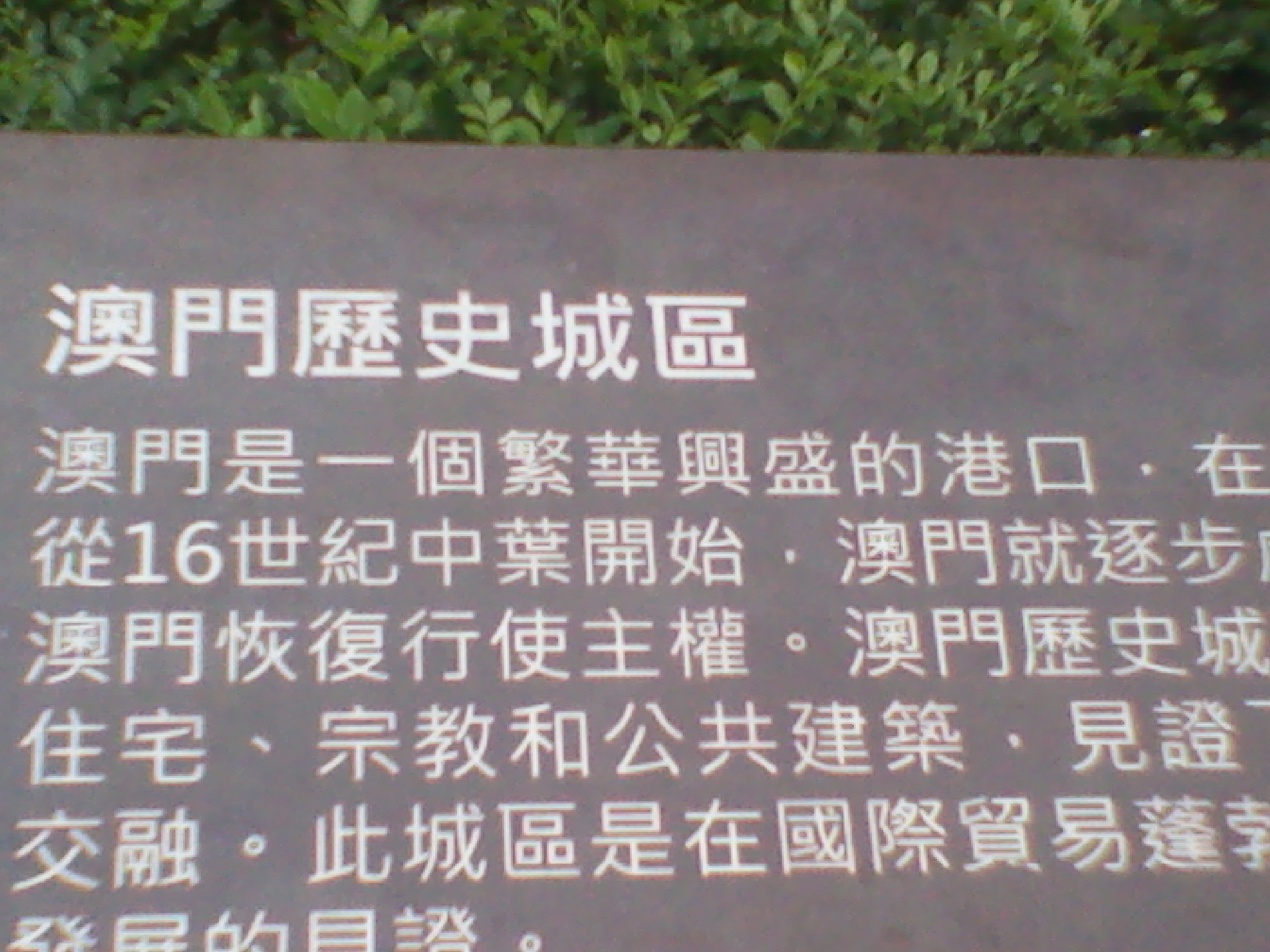 IMG_20120615_131316.jpg