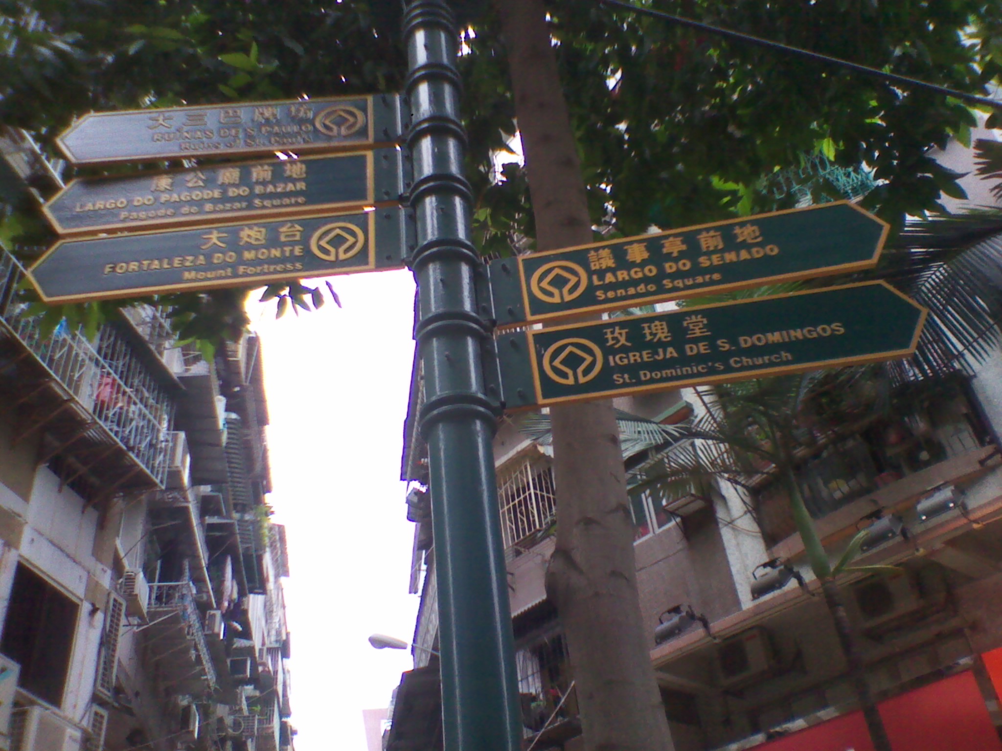 IMG_20120615_130822.jpg