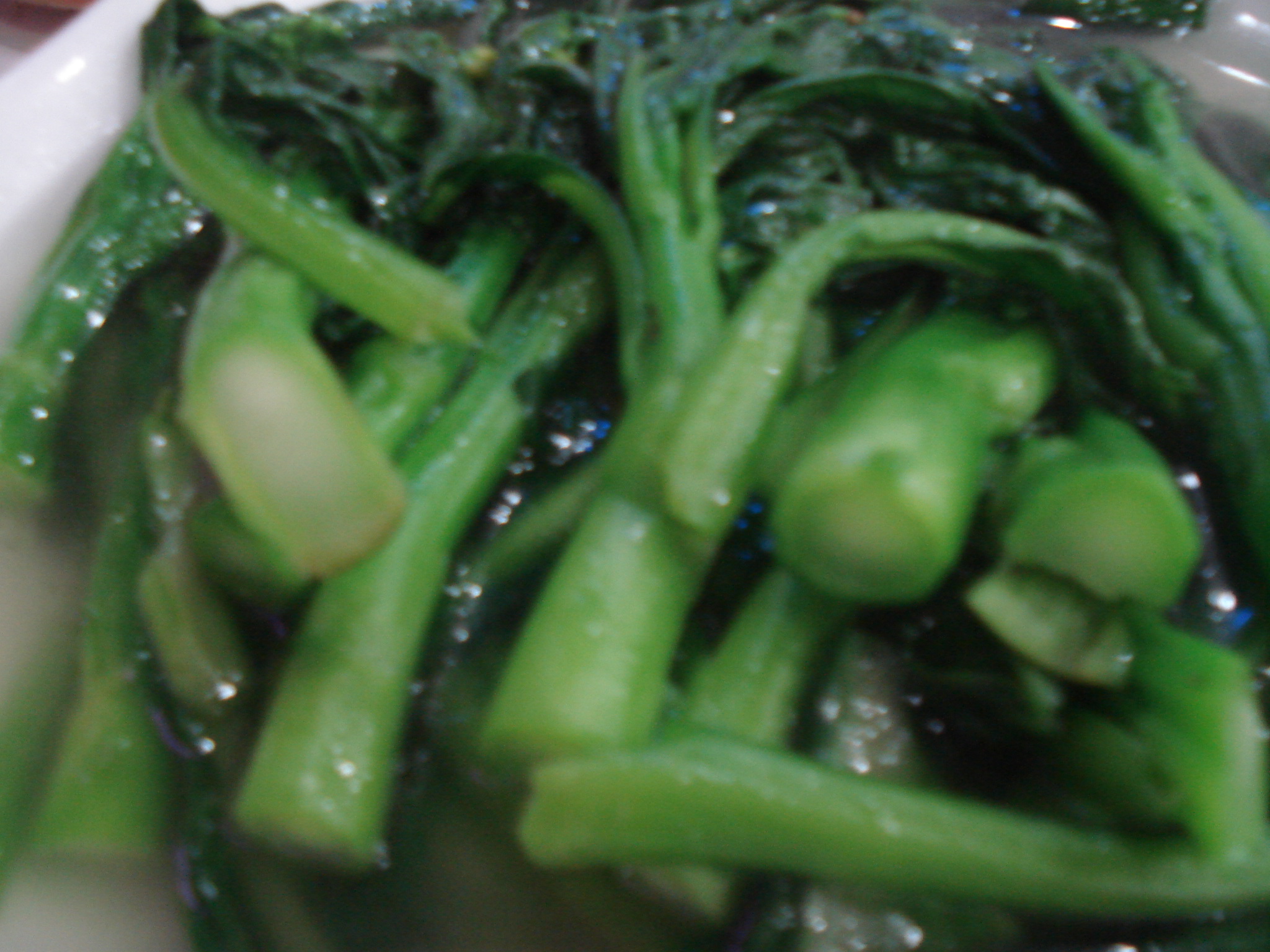 DSC07179.JPG