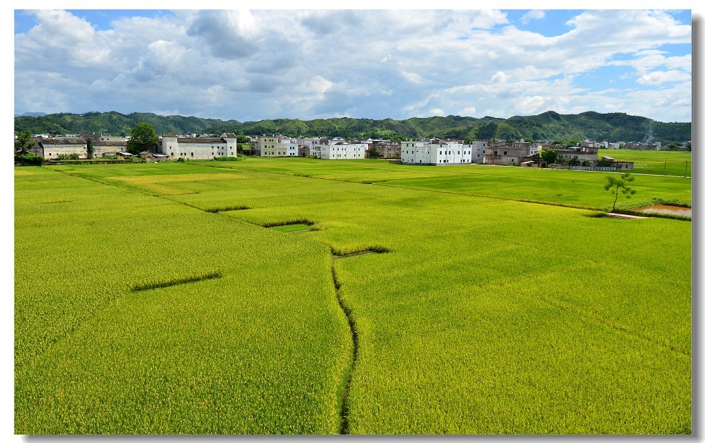 Ŵ11.jpg