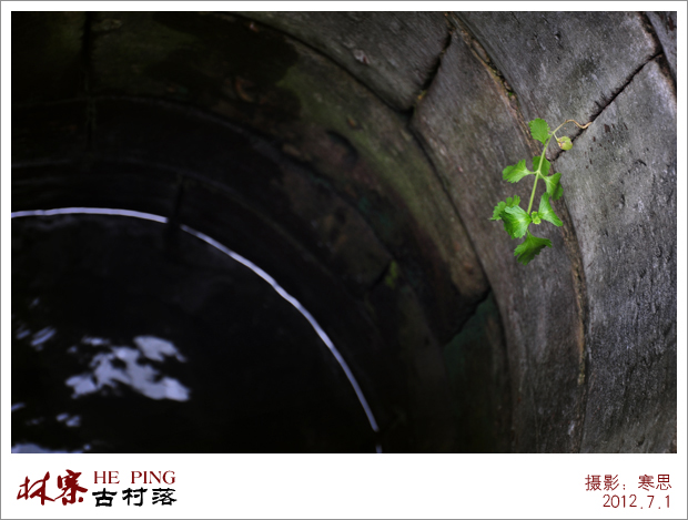 DSC_2394-sc.jpg