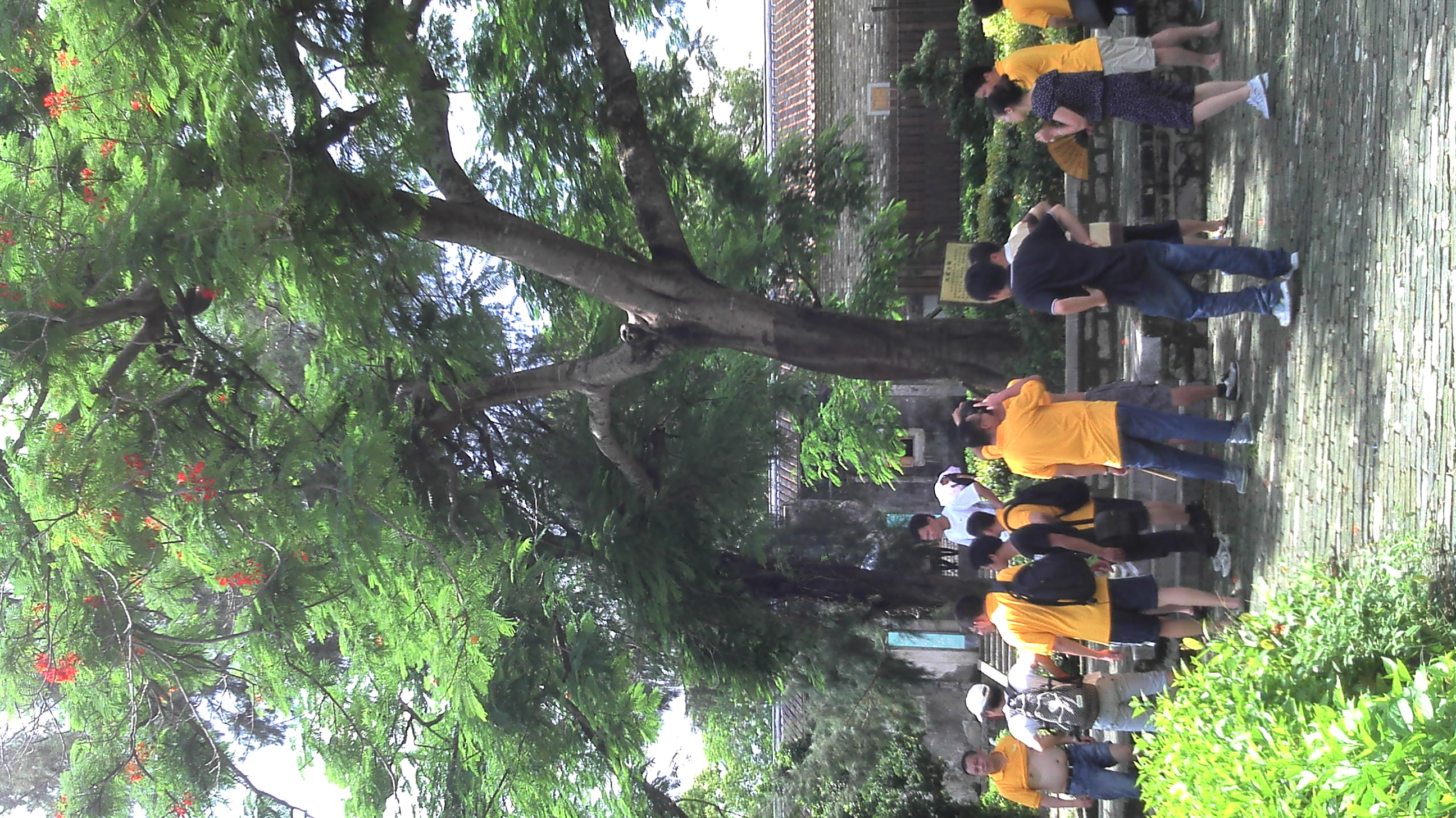 2012-07-06_13-59-05_836.jpg