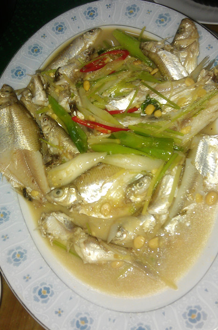 IMAG1513_.jpg