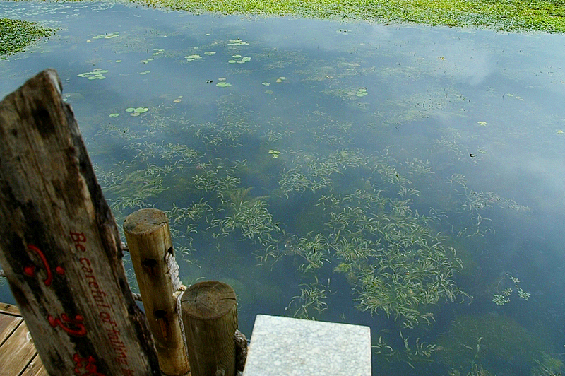 IMG_1710.jpg