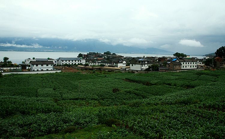 IMG_1908.jpg