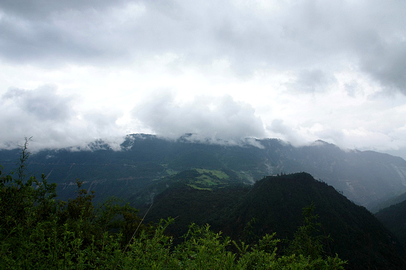 IMG_2087.jpg