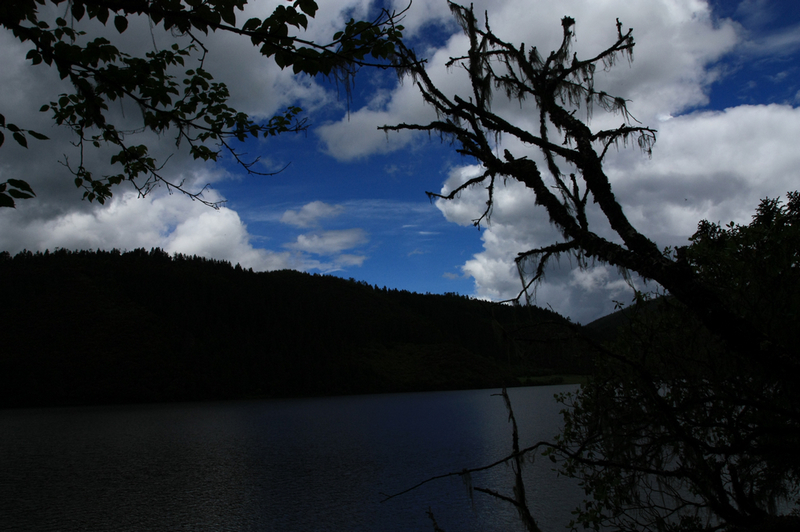 IMG_2285.jpg