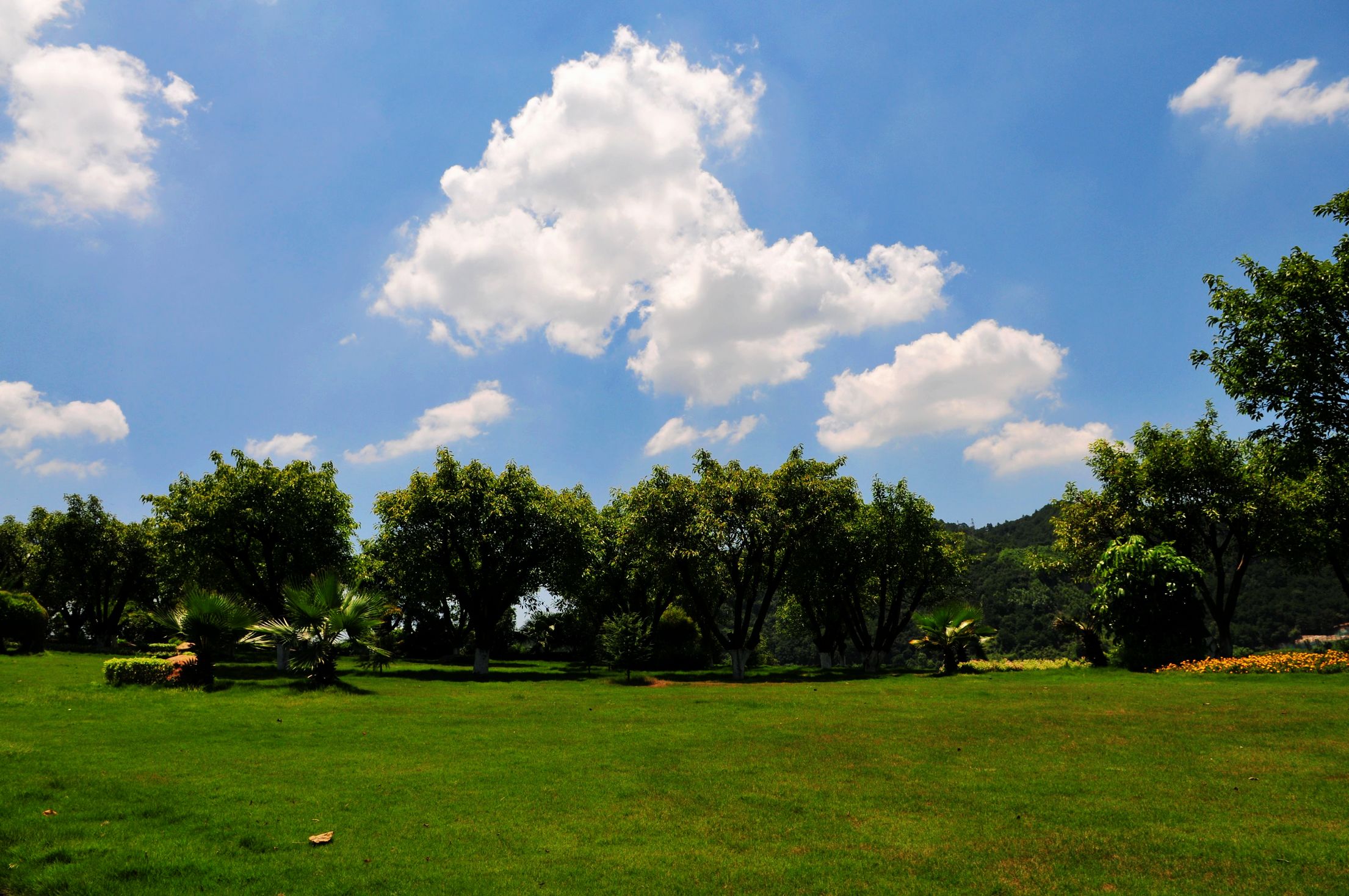 ZZM_2144.jpg