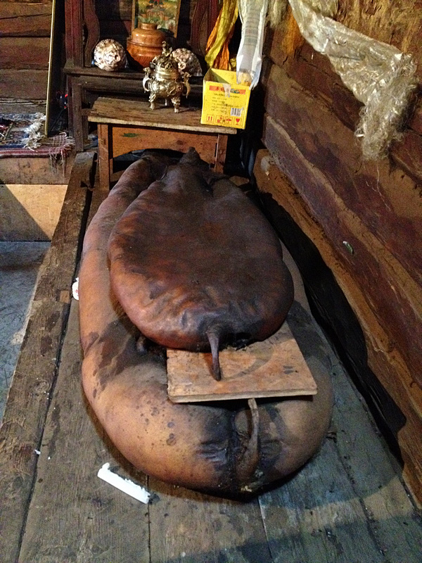 Ƭ 1582.jpg