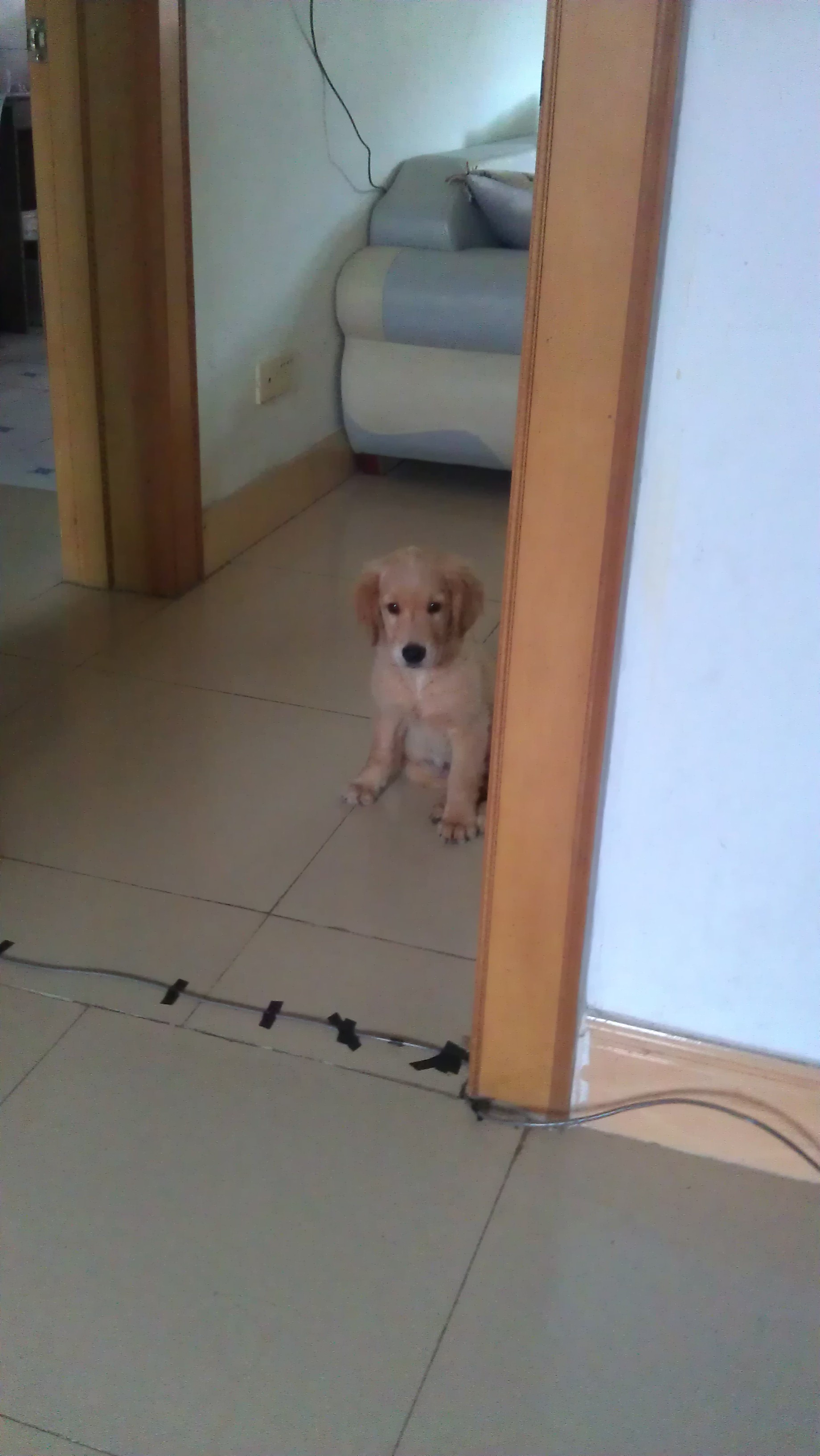 IMAG0251.jpg