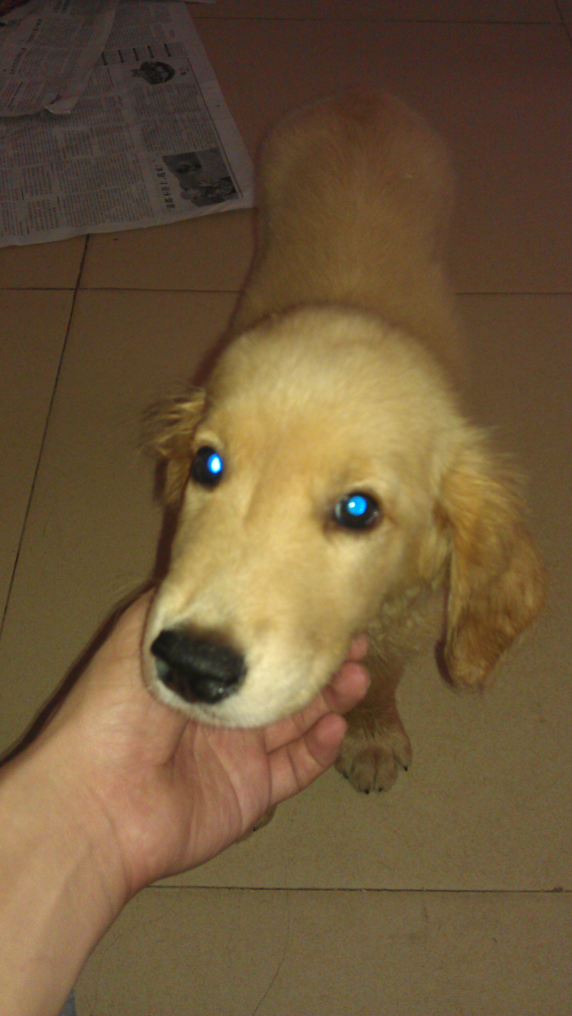 IMAG0278.jpg