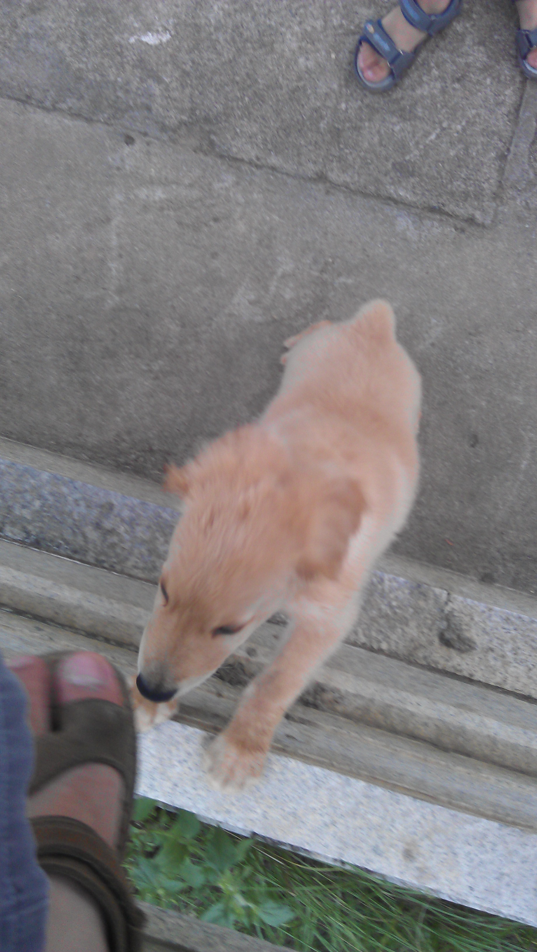 IMAG0281.jpg
