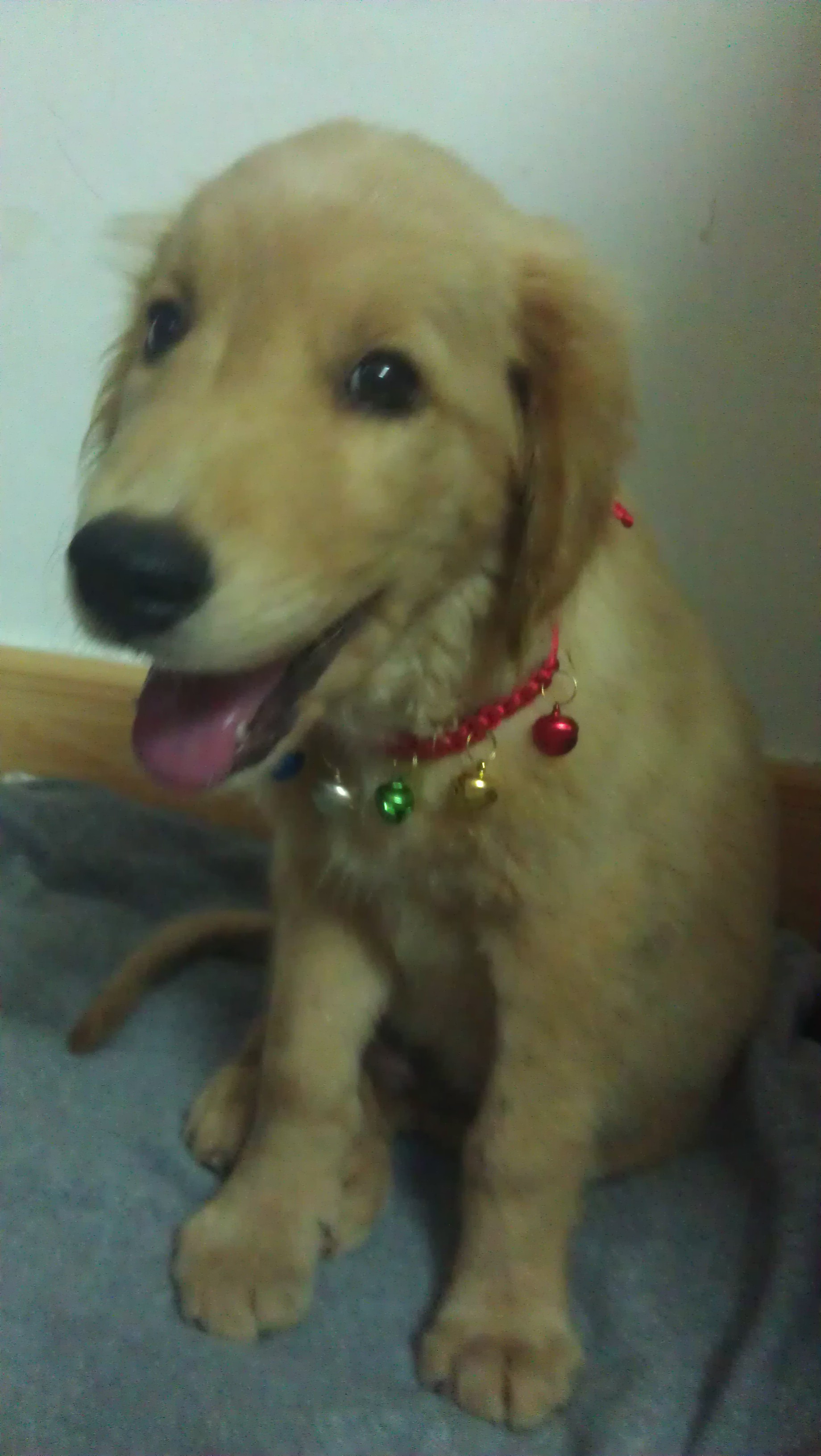 IMAG0294.jpg