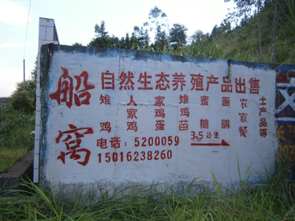 P8190103.JPG
