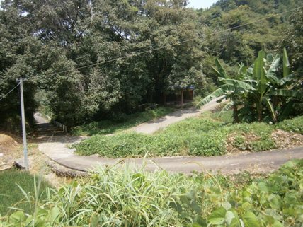 P8200142.JPG