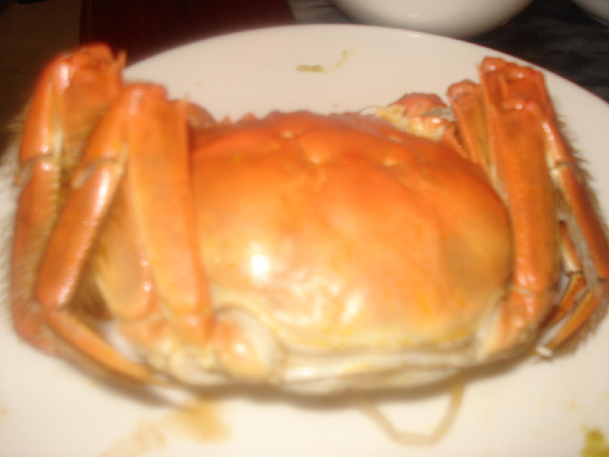 DSC07326.JPG