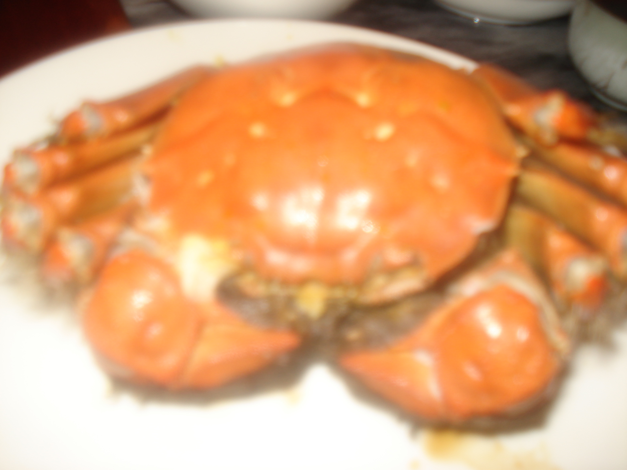 DSC07327.JPG