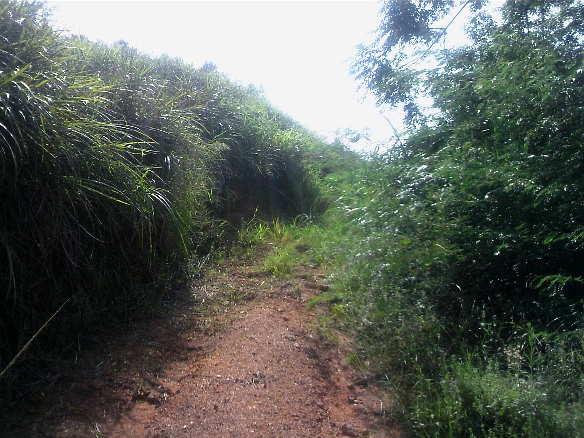 120815A004.jpg