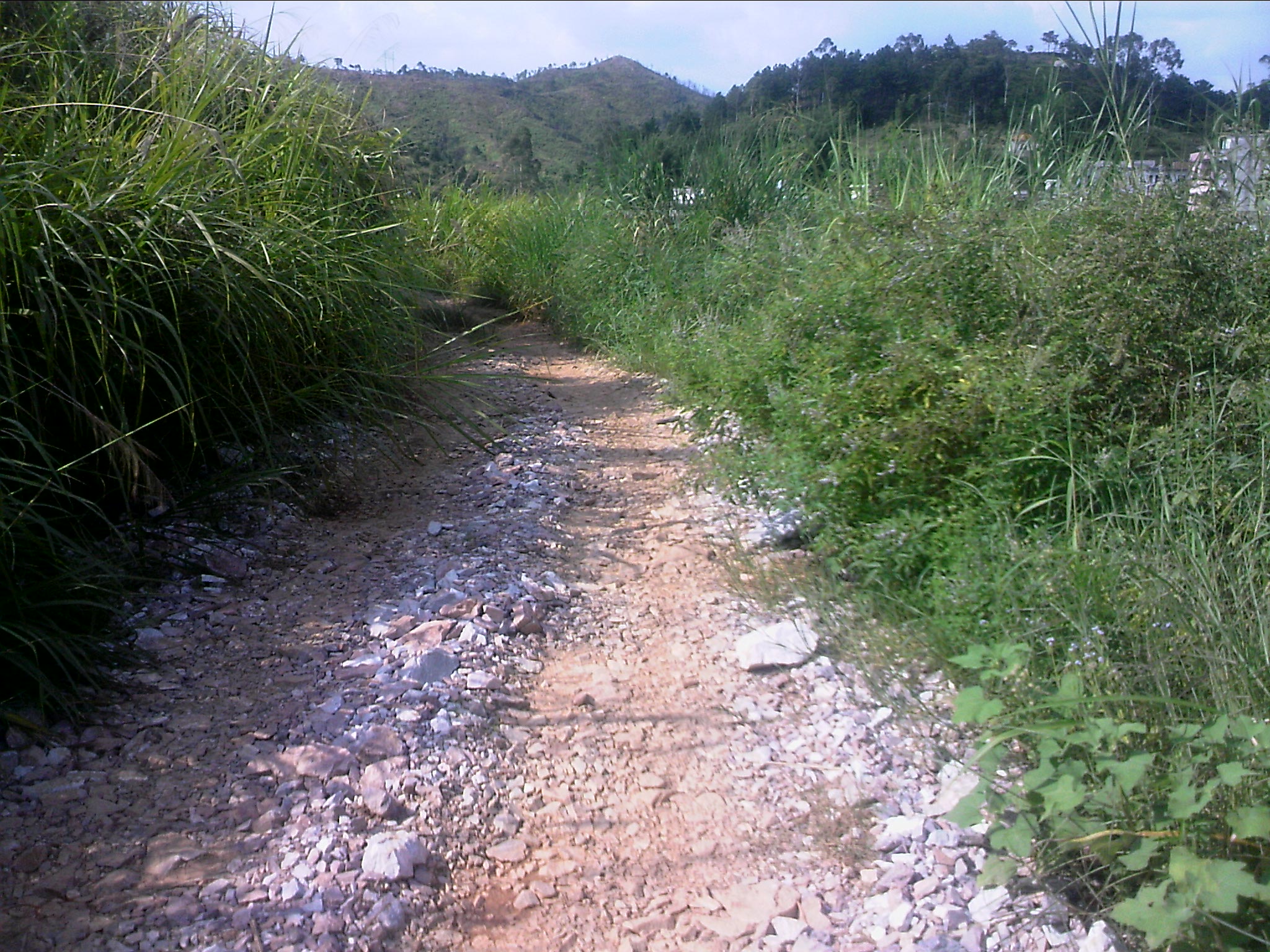 120815A007.jpg
