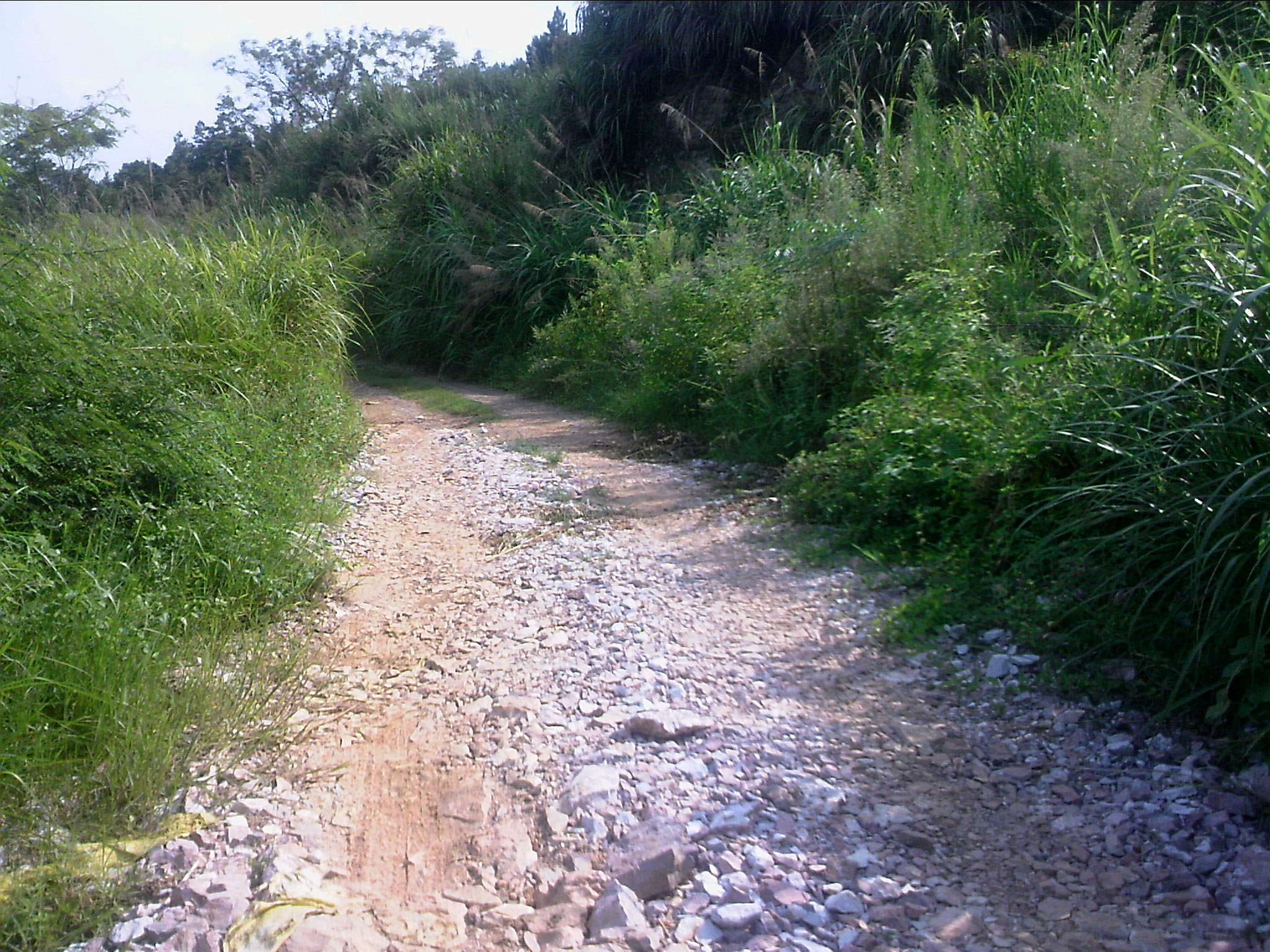 120815A008.jpg