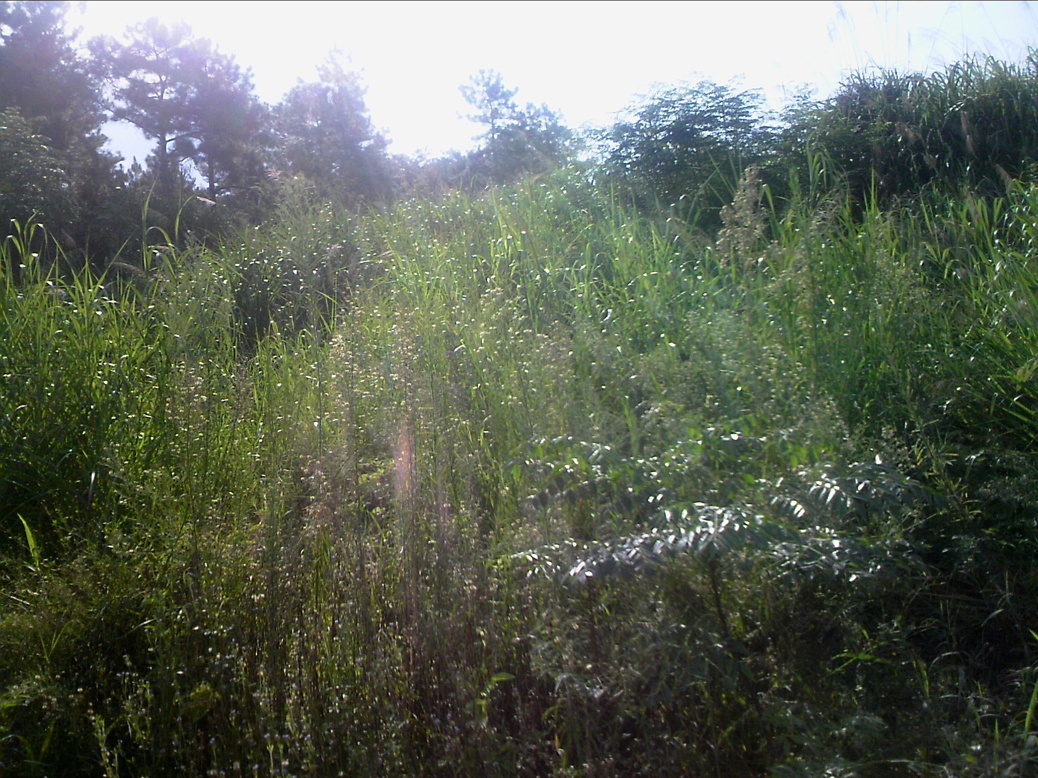120815A009.jpg