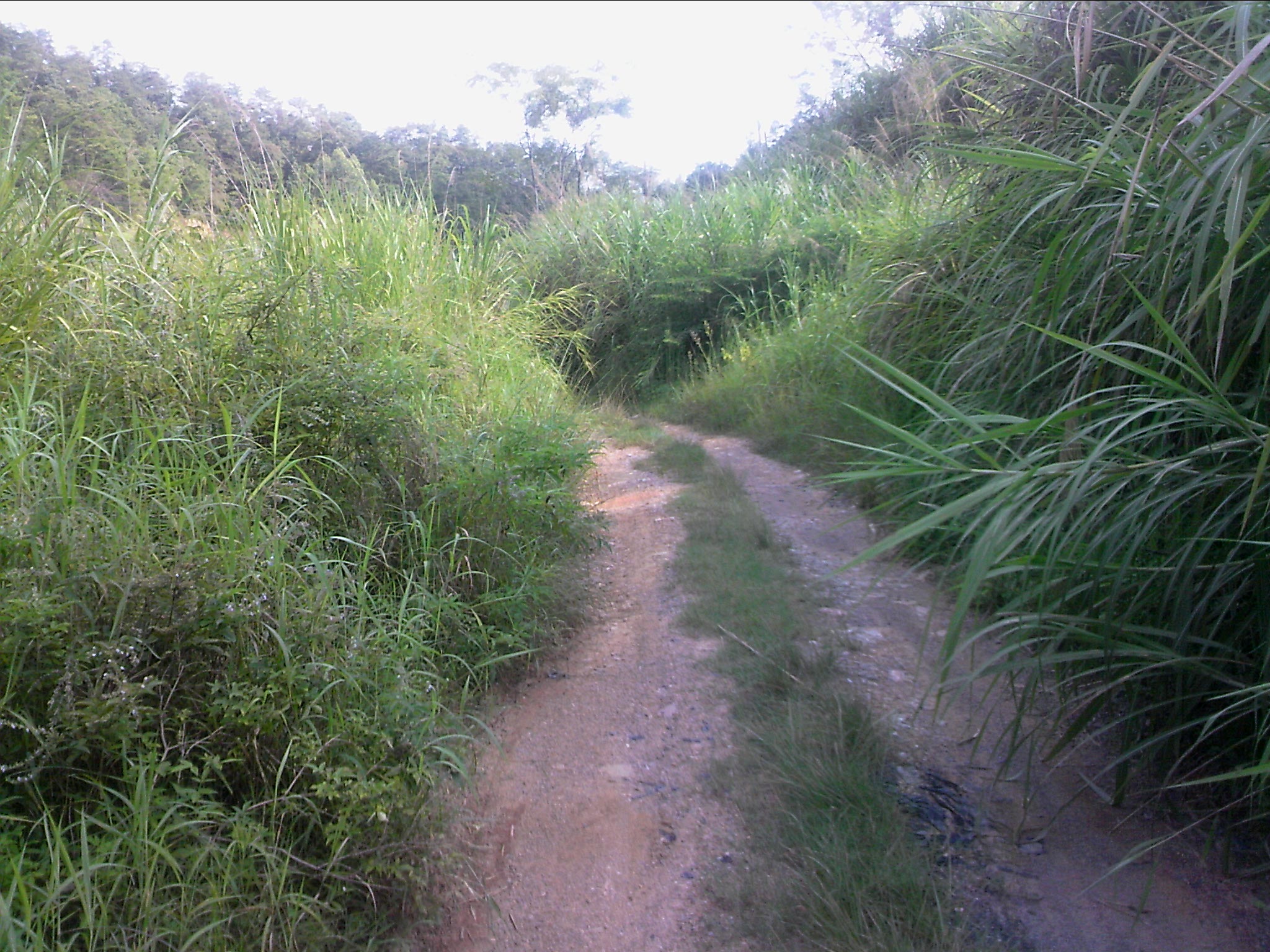 120815A010.jpg
