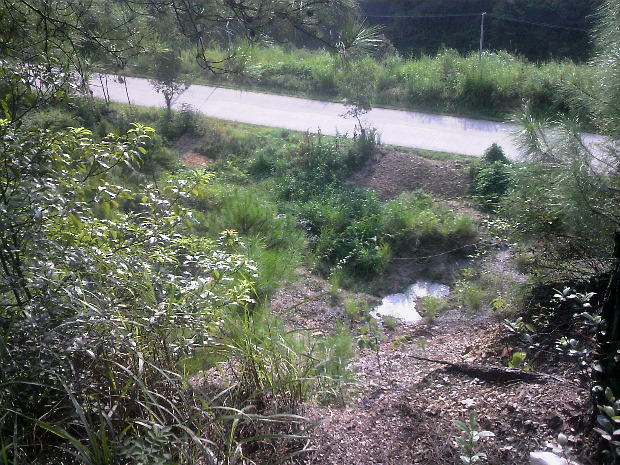 120815A011.jpg
