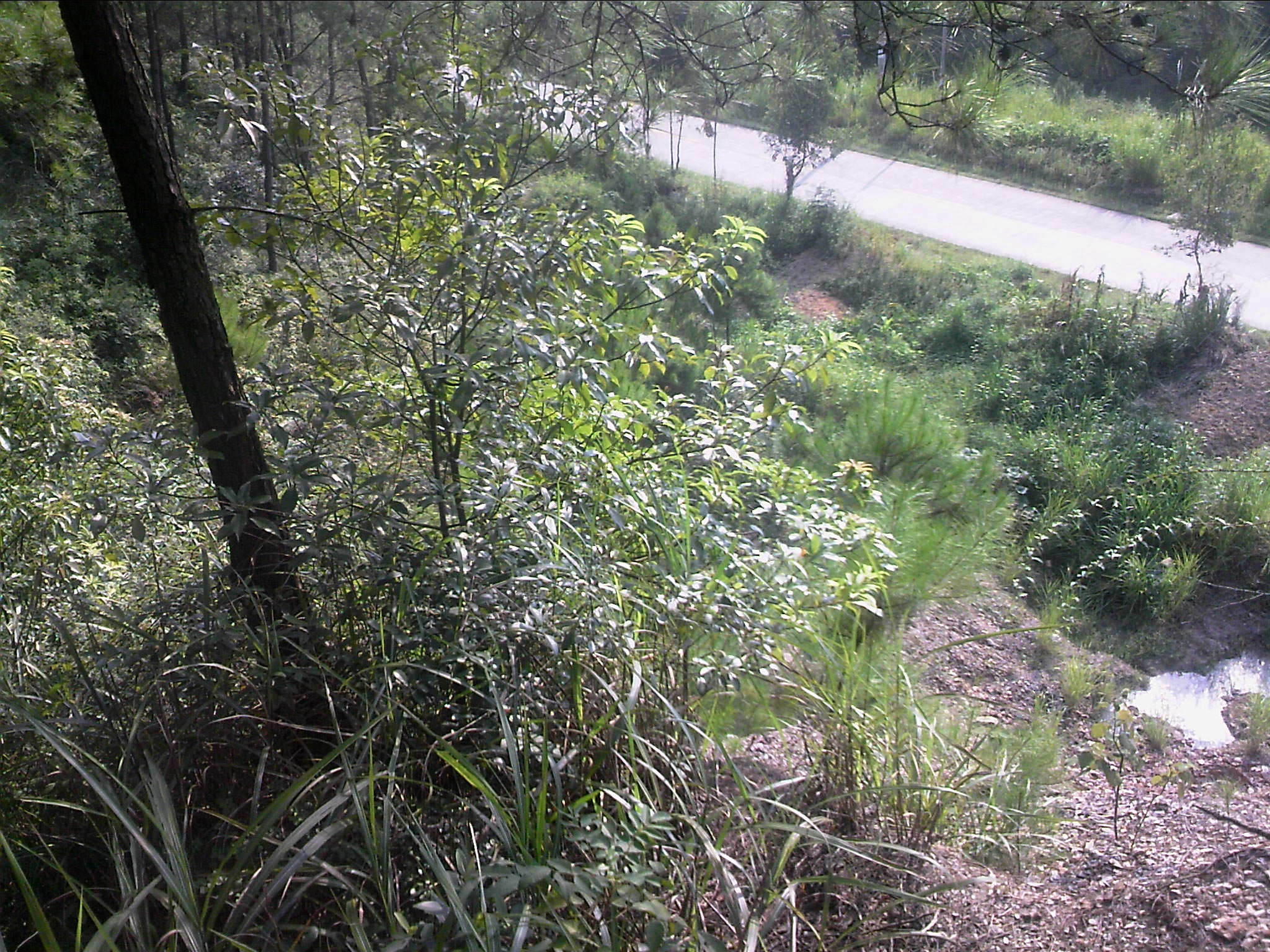 120815A012.jpg