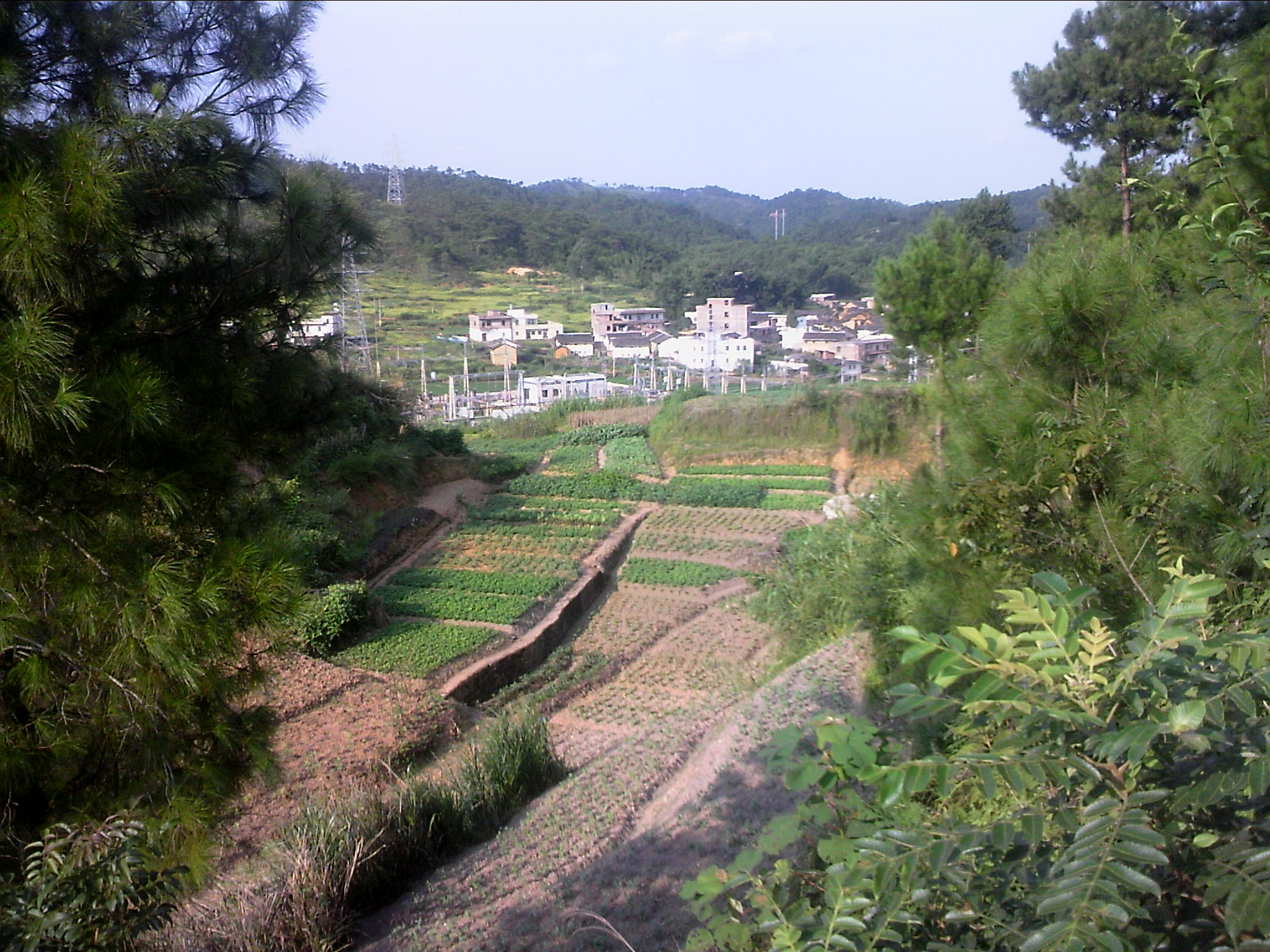 120815A014.jpg
