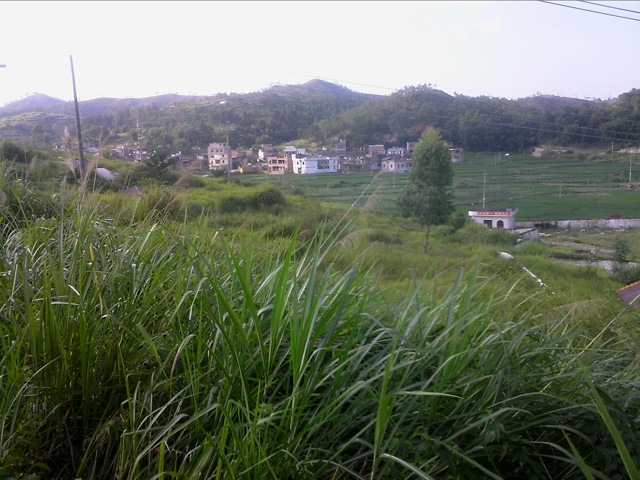 120815A017.jpg