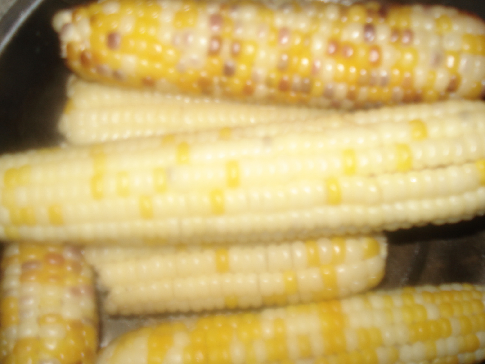 DSC07414.JPG