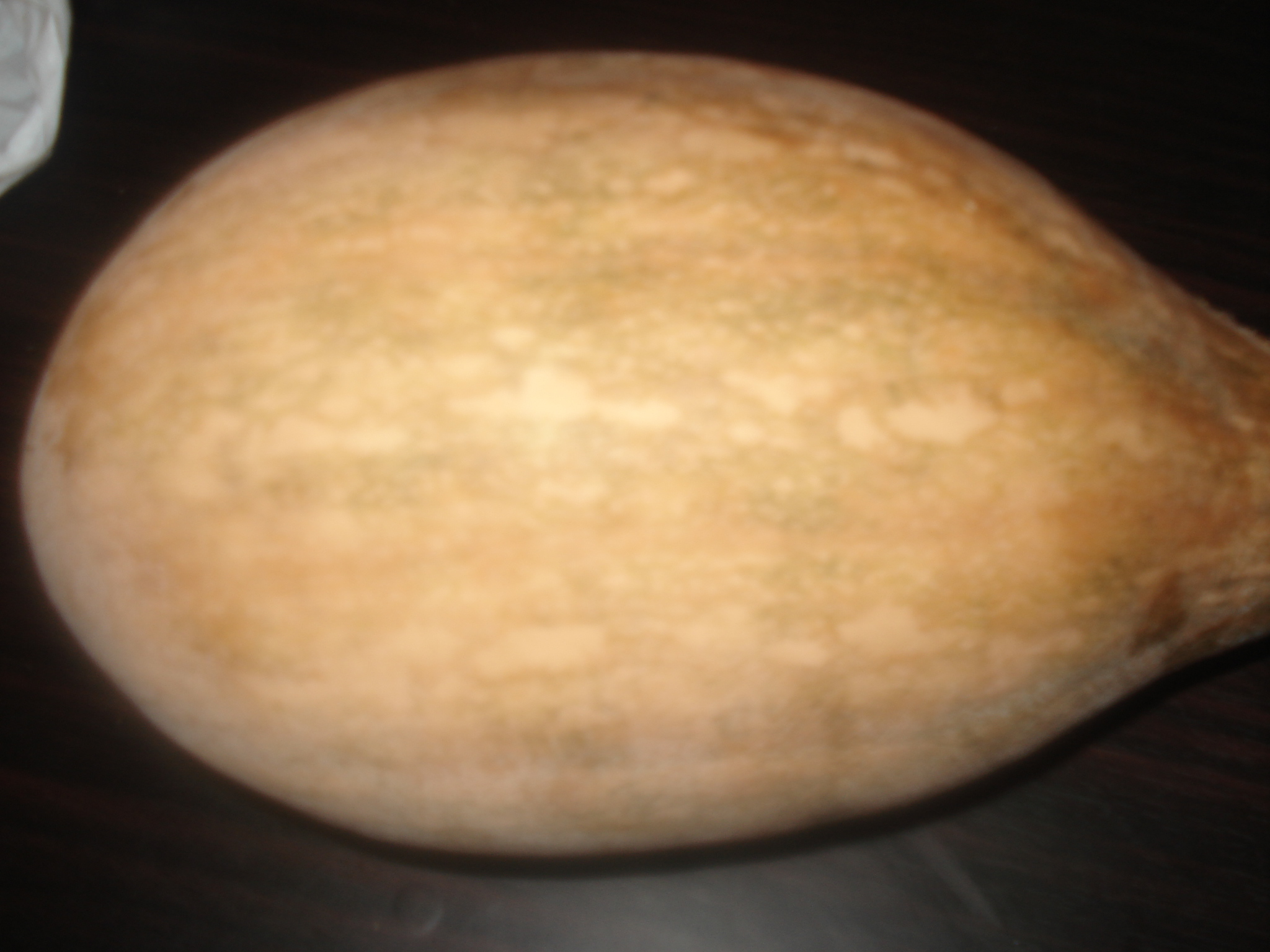 DSC07408.JPG