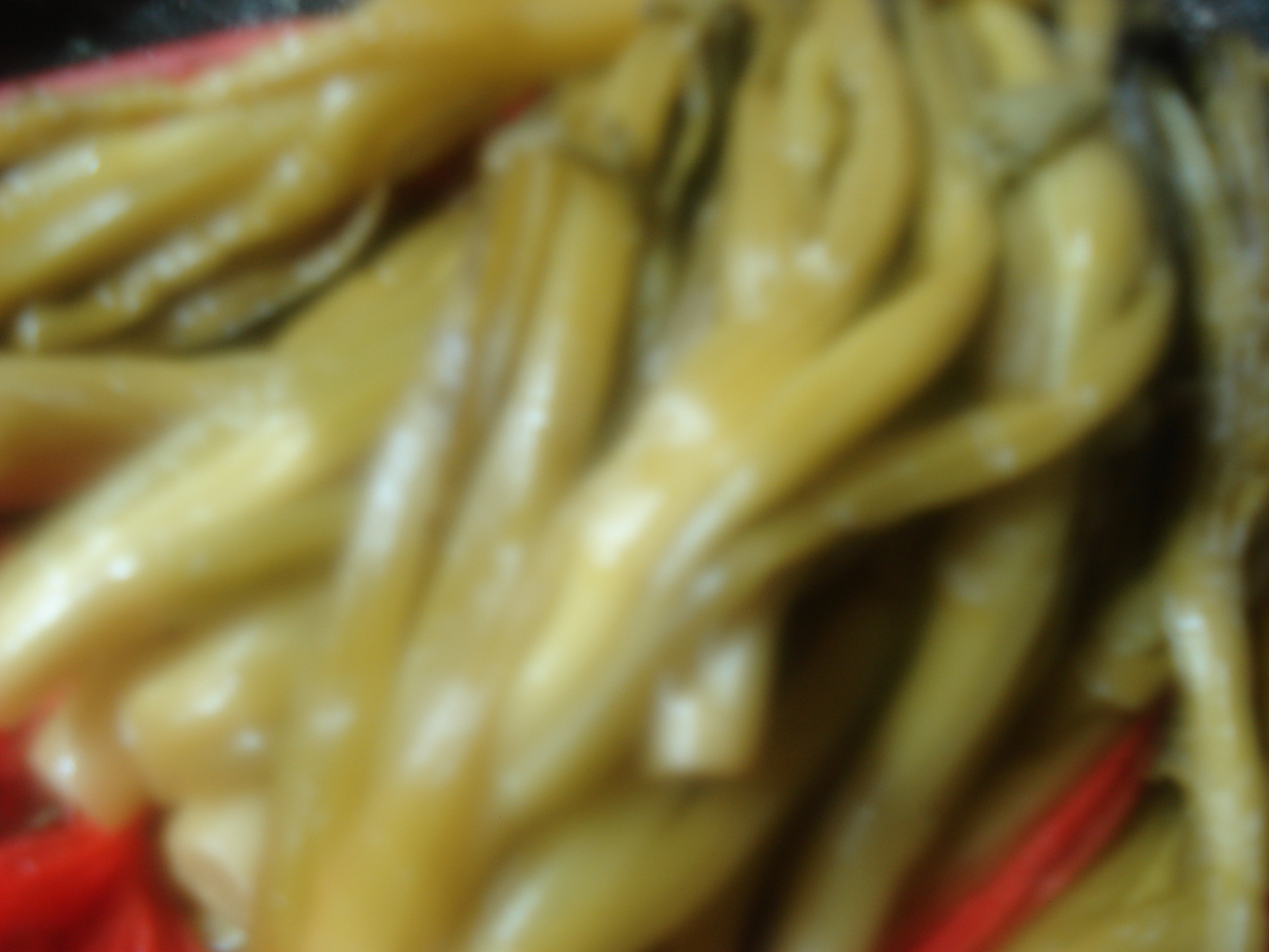 DSC07400.JPG
