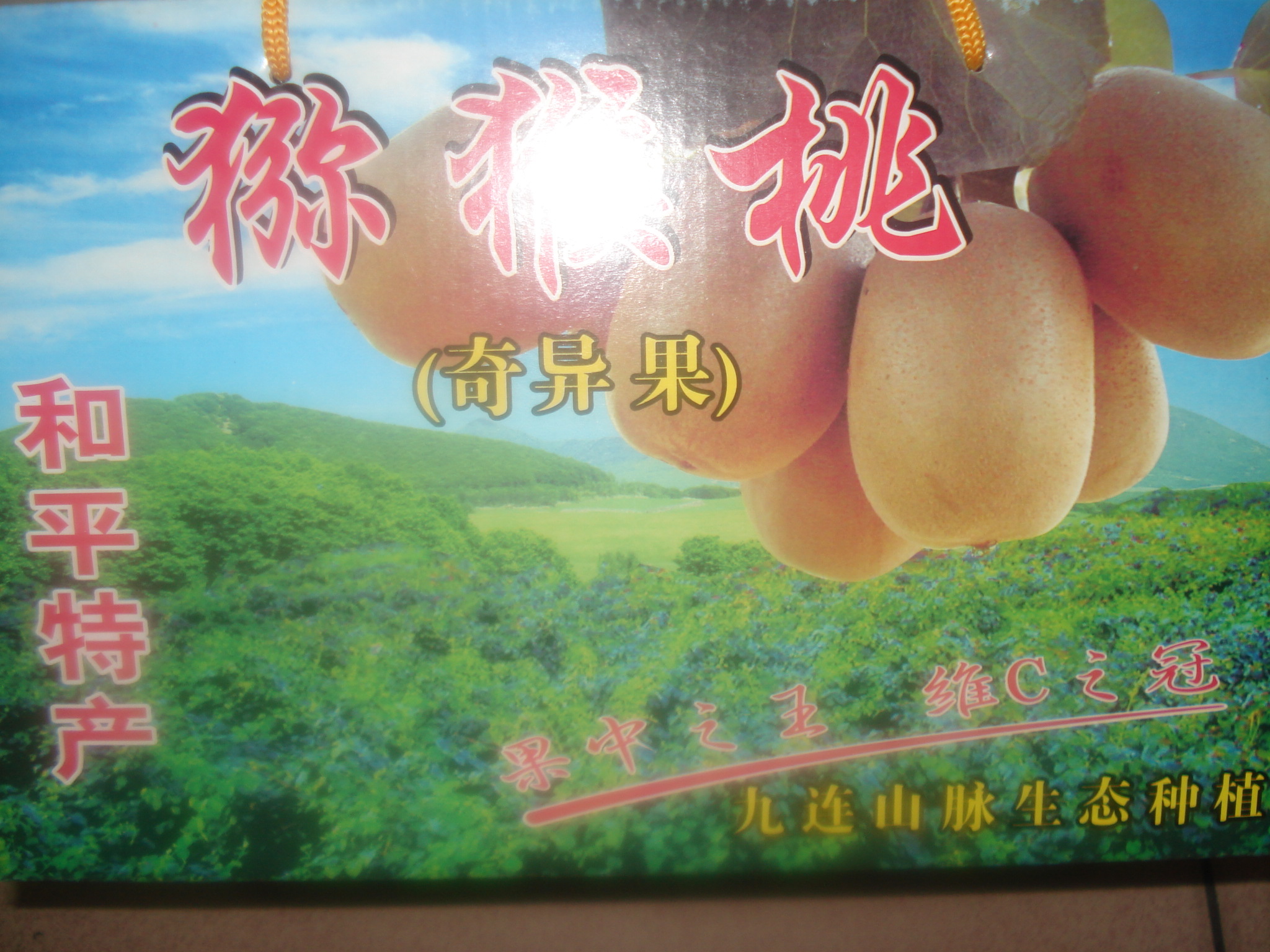 DSC07395.JPG