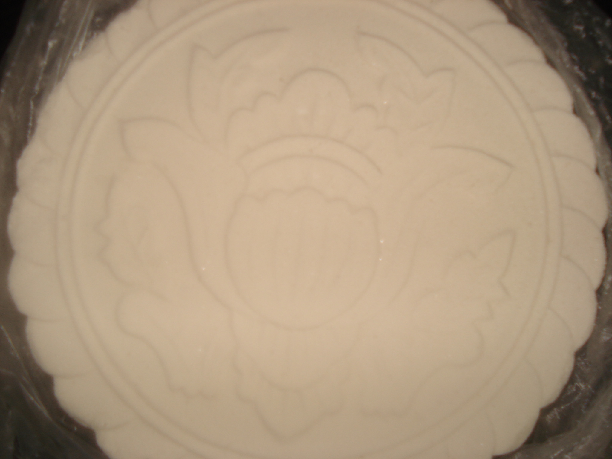 DSC07391.JPG