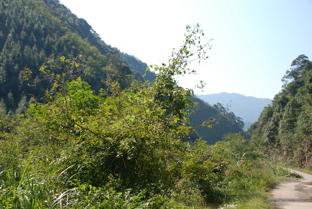 DSC_0054.JPG