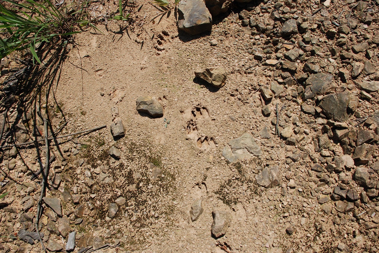DSC_0092.JPG