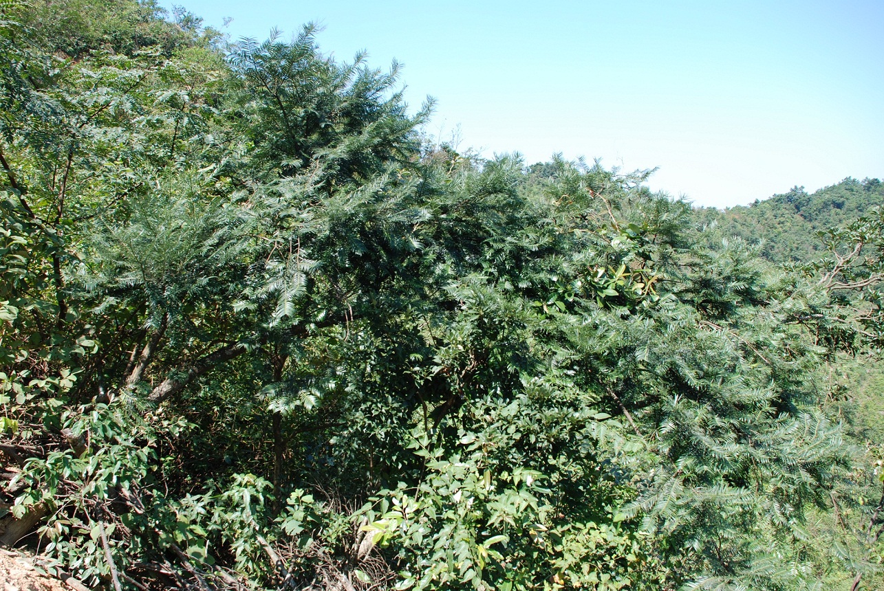 DSC_0105.JPG
