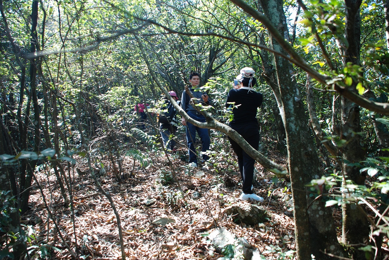 DSC_0125.JPG