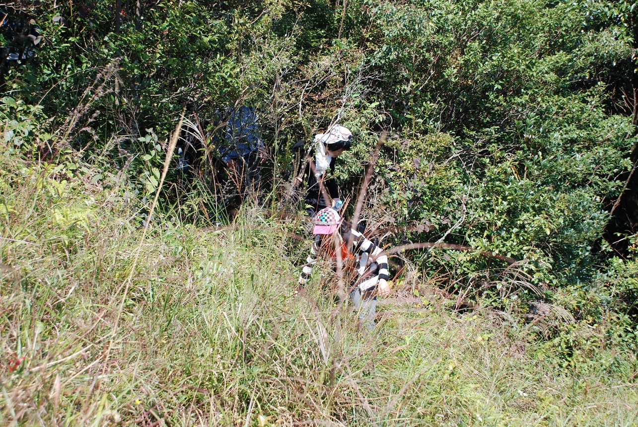 DSC_0145.JPG